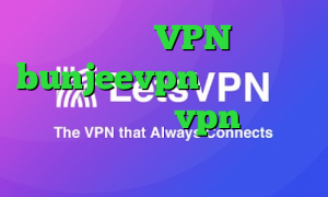توربو VPN bunjeevpn وی پی ان تیک تاک نولانی خرید vpn دو هزار تومانی