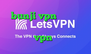 bunji vpn کاهش پینگ ایرانسل پابجی تیک تاک پارمیس خرید vpn حرفه ای