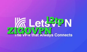اینستا گرام وی پی ان خرید فیلترشکن l2tp ZIGOVPN واکسن کرونا در چین