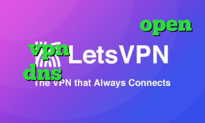 دانلود کانکشن رایگان open vpn تیک تاک ورژن قدیمی dns برای رفع تحریم اموزش تبدیل اینترانت به اینترنت