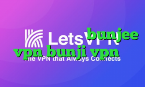ی فیلتر شکن قوی برای سامسونگ آدرس سایت وی پی ان bunjee vpn bunji vpn تیک تاک زشت