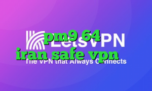 دانلود کانکشن تپش نت دانلود کانکشن pm9 64 بیتی سایت iran safe vpn ساکس تلگرام