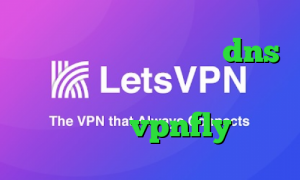 دانلود کانکشن نت باران dns رفع تحریم بازی وی پی ان از کشور گامبیا vpnfly