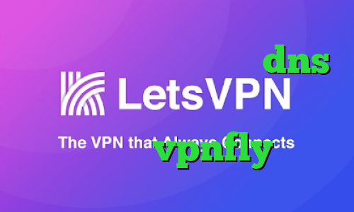 دانلود کانکشن نت باران dns رفع تحریم بازی وی پی ان از کشور گامبیا vpnfly