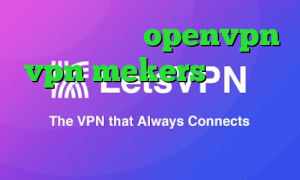 کانکشن رایگان openvpn vpn mekers برنامه ی تیک تاک برای اندروید افزایش سرعت اینترنت و کاهش پینگ