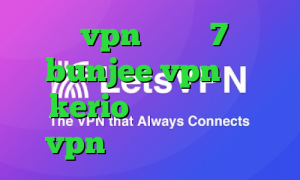 خرید vpn ویندوز 7 سایت bunjee vpn خرید kerio دو کاربره خرید vpn کریو برای اندروید