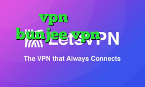 خرید vpn هات اسپات سایت bunjee vpn تیک تاک قدیم دانلود کانکشن هوشمند برای اندروید