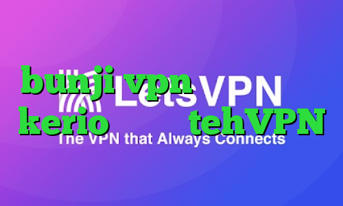 bunji vpn خرید فیلترشکن kerio پرسرعت tehVPN