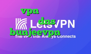 خرید vpn آن لاین فیلتر شکن با تغییر dns اپلیکیشن bunjeevpn طرح کاهش پینگ