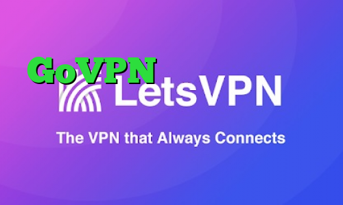 GoVPN تیک تاک ثنا فیصل خرید کانکشن هوشمند وی پی ان ساکس تلگرام