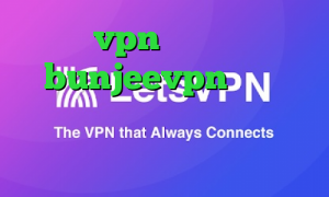 خرید vpn برای مک اکانت bunjeevpn دانلود کانکشن هوشمند اندروید دانلود کانکشن آی نت