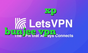 کانکشن ویندوز xp سرویس های تبدیل اینترانت به اینترنت سایت bunjee vpn وی پی ان از کشور مصر