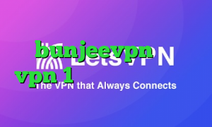 کاهش پینگ وارزون bunjeevpn خرید vpn 1 روزه فیلتر شکن گلکسی اس