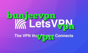 bunjeevpn سرویس کاهش پینگ برای گیم خرید vpn سه ماهه خرید vpn اکانت تست
