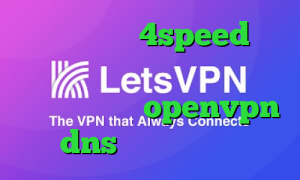 دانلود کانکشن 4speed برای اندروید دانلود کانکشن نت باران کانکشن رایگان openvpn dns رفع تحریم بازی