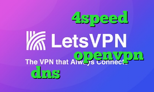 دانلود کانکشن 4speed برای اندروید دانلود کانکشن نت باران کانکشن رایگان openvpn dns رفع تحریم بازی