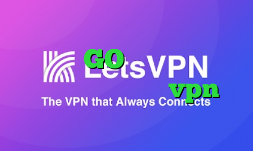 وی پی ان GO کریو ارزان قیمت کانکشن سیسکو میکرزvpn
