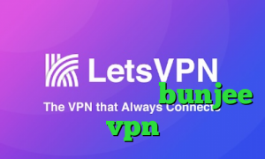 خرید آی پی ثابت خارجی آنتی فیلتر اندروید سایفون تیک تاک فارسی آدرس سایت وی پی ان bunjee vpn