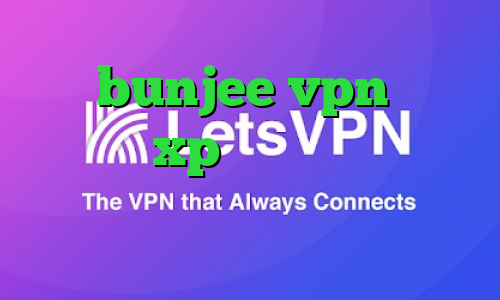 سایت bunjee vpn کانکشن ویندوز xp وی پی ان از کشور اروگوئه کاهش پینگ داخلی