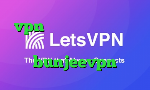 vpn پی پل پی پال فیلترشکن سنجاب دانلود bunjeevpn