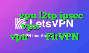 خرید vpn l2tp ipsec خرید vpn برای لپ تاپ خرید vpn توربو FitVPN