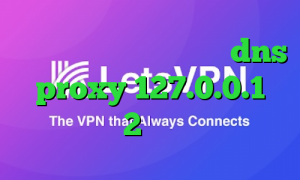 کرونا تیک تاک نه دیگه نه dns proxy 127.0.0.1 دانلود 2بینی تیک تاک
