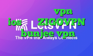 بهترین اپلیکیشن vpn برای ios آدرس ZIGOVPN سایت bunjee vpn آنتی فیلتر جدید