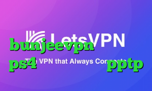 میکرز وی پی ان bunjeevpn فروش پروکسی ps4 خرید وی پی انی pptp