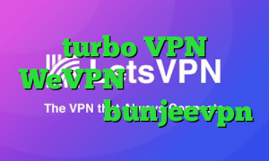 turbo VPN WeVPN چگونه در تیک تاک معروف شویم bunjeevpn