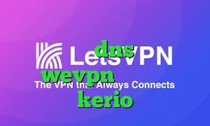 اینستا بی فیلتر فقط اینجا کاهش پینگ با dns اکانت wevpn فروش سرور kerio