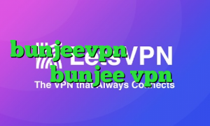 تیک تاک ترسناک bunjeevpn آدرس سایت وی پی ان bunjee vpn کاهش پینگ بازی لول