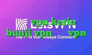 خرید اینترنتی تایل پی وی سی خرید شارژ vpn kerio bunji vpn فروش vpn جرم