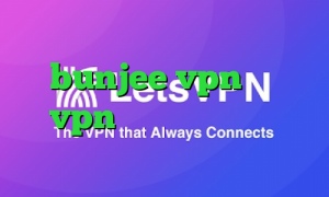 فیلترشکن قوی نی نی سایت سایت bunjee vpn خرید vpn قانونی آنتی فیلتر کامپیوتر
