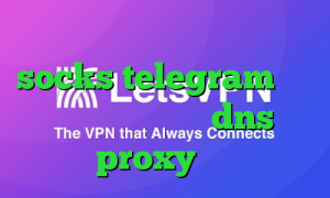 وی پی ان از کشور کره جنوبی socks telegram کاهش پینگ پلی استیشن dns proxy چیست