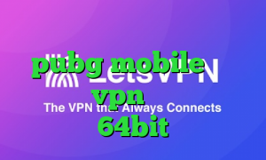 آهنگ تیک تاک کاهش پینگ بازی pubg mobile ساخت اپلیکیشن vpn دانلود کانکشن 64bit