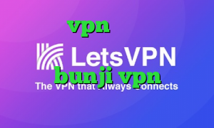 خرید vpn رایگان برای کامپیوتر دانلود کانکشن برای موبایل bunji vpn خرید آی پی ثابت