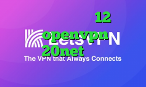 دانلود تیک تاک ورژن 12 کانکشن رایگان openvpn دانلود کانکشن 20net تیک تاک رفیق غیرتی
