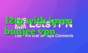 فیلترشکن شبکه اینترنشنال خرید l2tp with ipsec سایت bunjee vpn سرویس تبدیل اینترانت به اینترنت