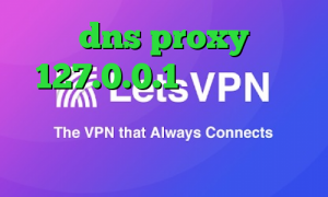 dns proxy 127.0.0.1 تیک تاک ورژن قدیمی فیلتر شکن فانوس کاهش پینگ نرم افزار
