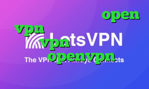 دانلود کانکشن رایگان open vpn وی پی ان از کشور مالت خرید vpn فیلترکش دانلود کانکشن openvpn برای ویندوز