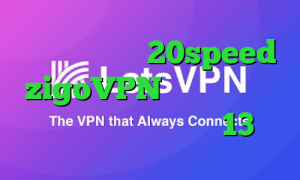 کانکشن هوشمند 20speed zigoVPN تیک تاک زندگی دانلود تیک تاک ورژن 13