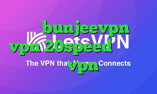دانلود bunjeevpn خرید vpn 20speed گو وی پی ان خرید vpn تضمینی