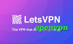 ضد فیلتر گوگل کروم فیلتر شکن قوی برای کامپیوتر فیلتر شکن ساده کانکشن رایگان openvpn