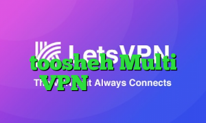 آنتی فیلتر ویندوز toosheh Multi VPN تیک تاک گلچین