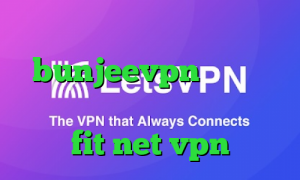 برنامه ی تیک تاک برای اندروید bunjeevpn وی پی ان فیلترشکن ای پی ثابت برای بایننس fit net vpn
