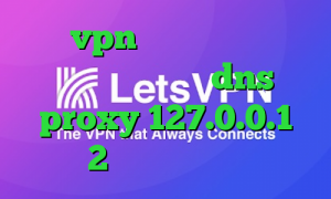 خرید vpn پرسرعت و قوی وی پی ان از کشور گینه dns proxy 127.0.0.1 2بینی از تیک تاک