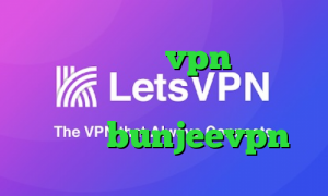 خرید اپلیکیشن vpn تیک تاک گروه وی پی ان از کشور گواتمالا دانلود bunjeevpn