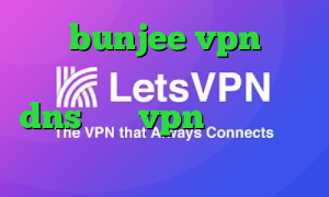 سایت bunjee vpn کرونا ویروس واکسن نصب فیلتر شکن dns خرید vpn برای ویندوز فون