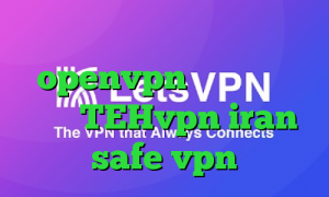تیک تاک وب دانلود کانکشن openvpn برای ویندوز آدرس TEHvpn iran safe vpn