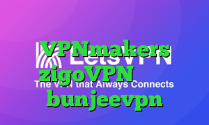 فیلترشکن دلفین آبی VPNmakers zigoVPN دانلود bunjeevpn